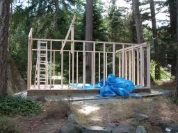 new shed - day 7